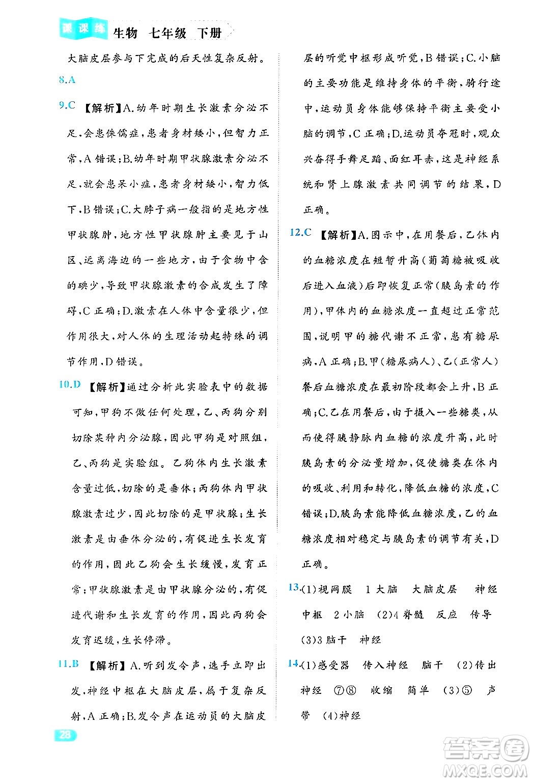 西安出版社2024年春課課練同步訓練七年級生物下冊人教版答案
