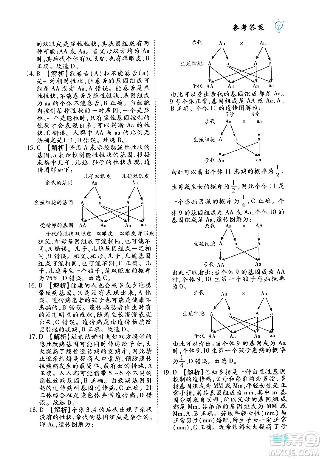 西安出版社2024年春課課練同步訓(xùn)練八年級生物下冊人教版答案