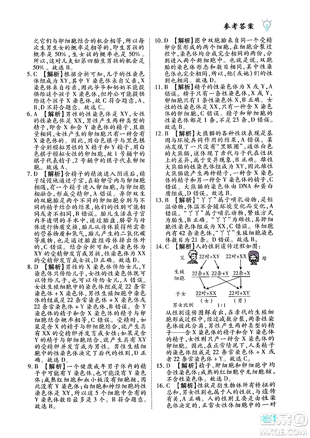 西安出版社2024年春課課練同步訓(xùn)練八年級生物下冊人教版答案