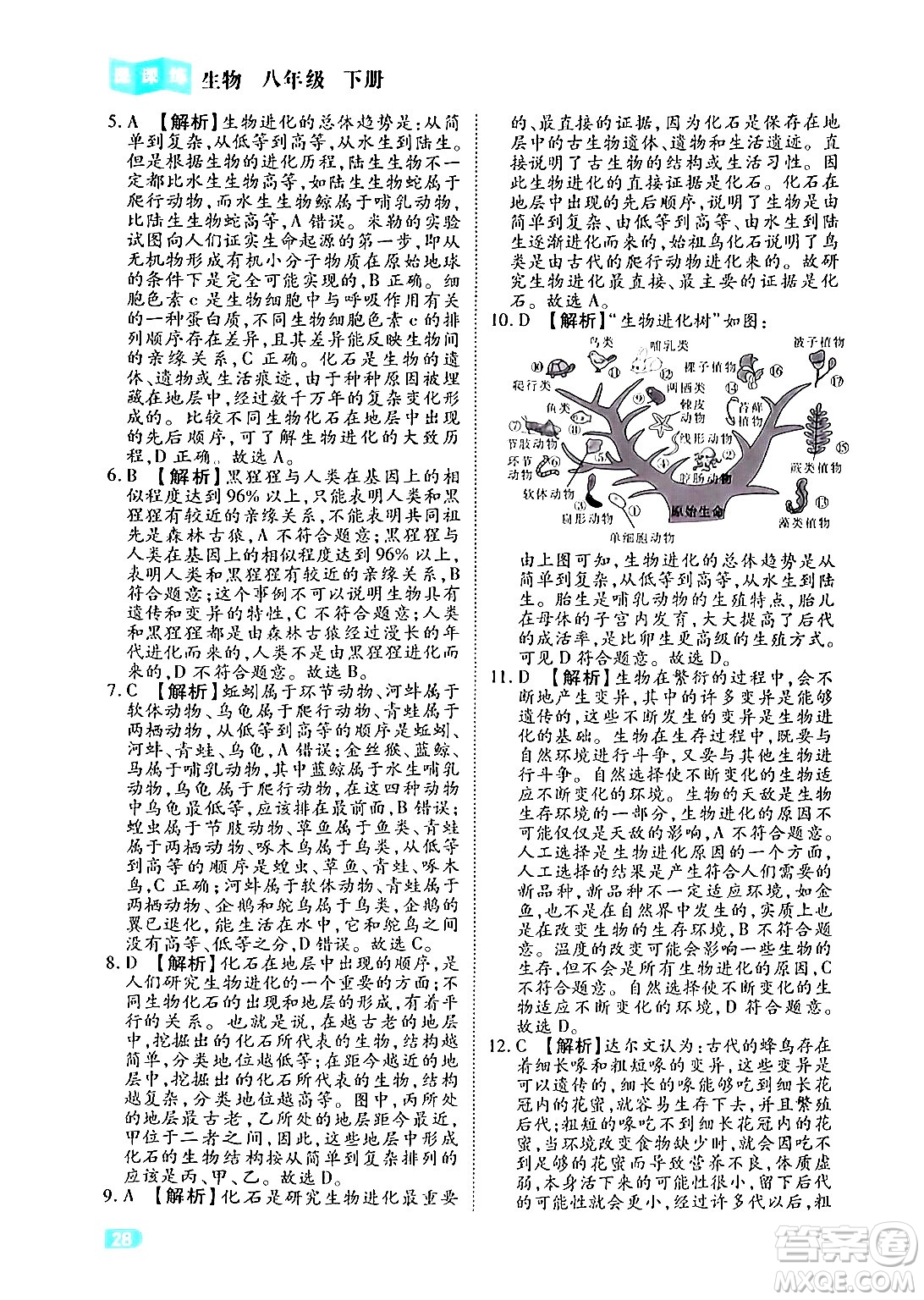 西安出版社2024年春課課練同步訓(xùn)練八年級生物下冊人教版答案