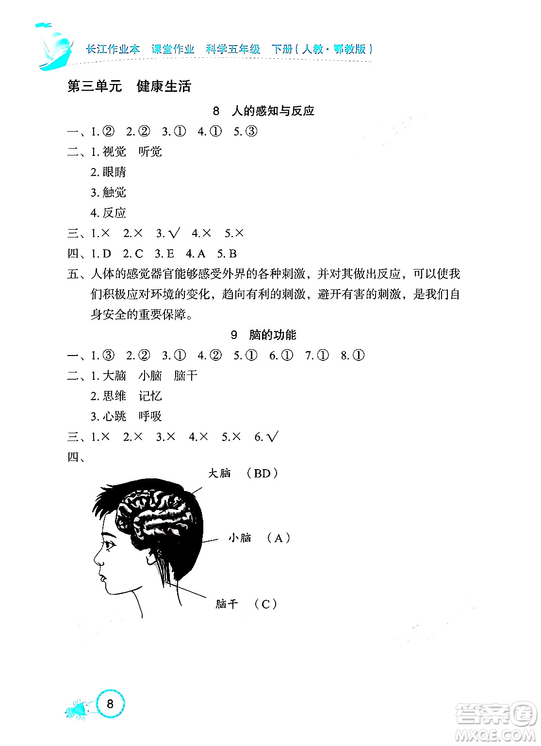 湖北教育出版社2024年春長(zhǎng)江作業(yè)本課堂作業(yè)五年級(jí)科學(xué)下冊(cè)人教鄂教版答案