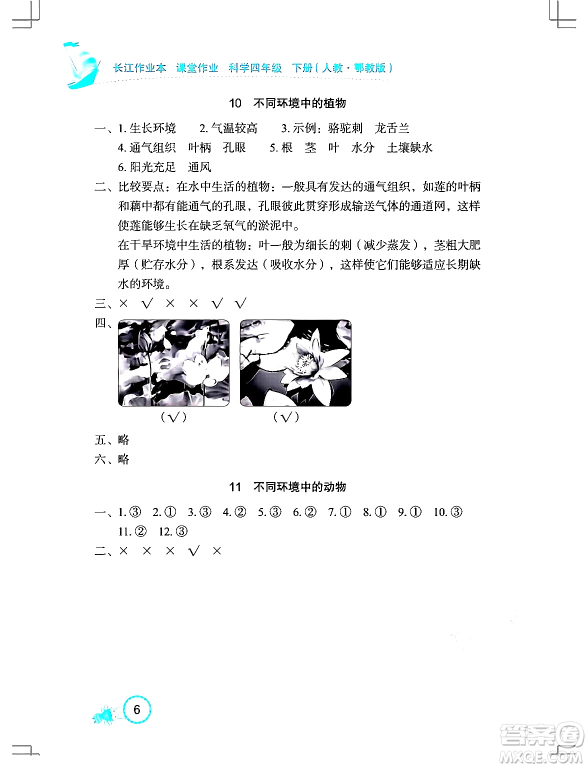 湖北教育出版社2024年春長(zhǎng)江作業(yè)本課堂作業(yè)四年級(jí)科學(xué)下冊(cè)人教鄂教版答案