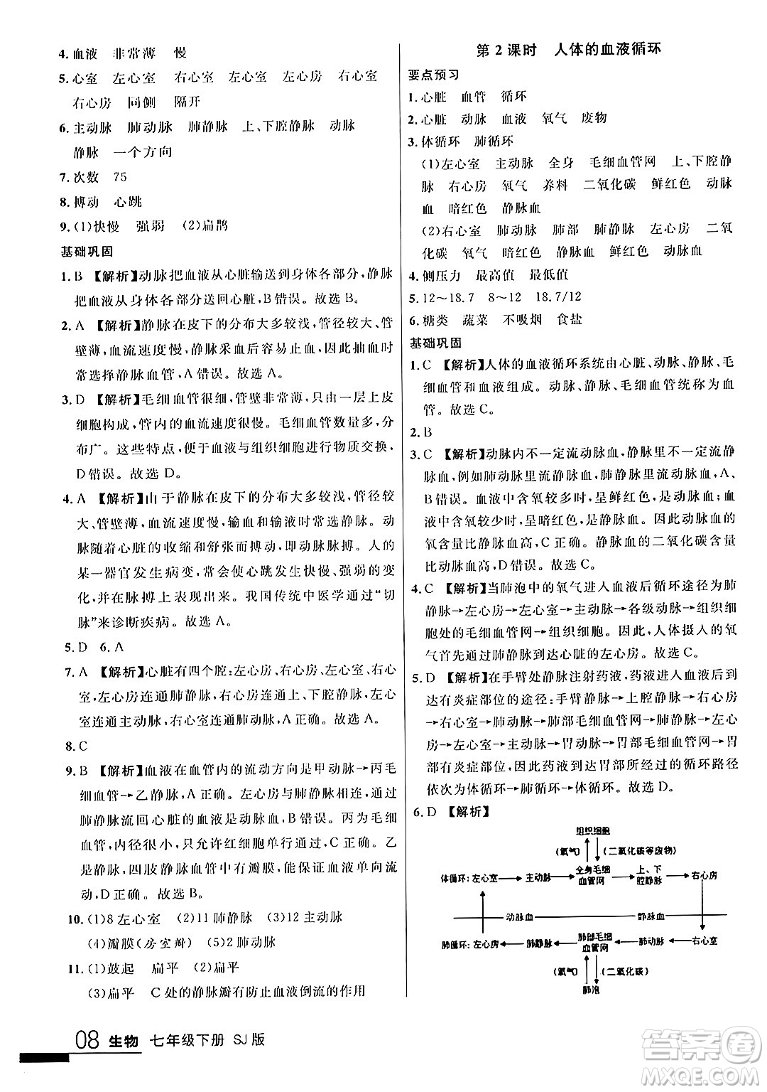 吉林教育出版社2024年春品至教育一線課堂七年級生物下冊蘇教版答案
