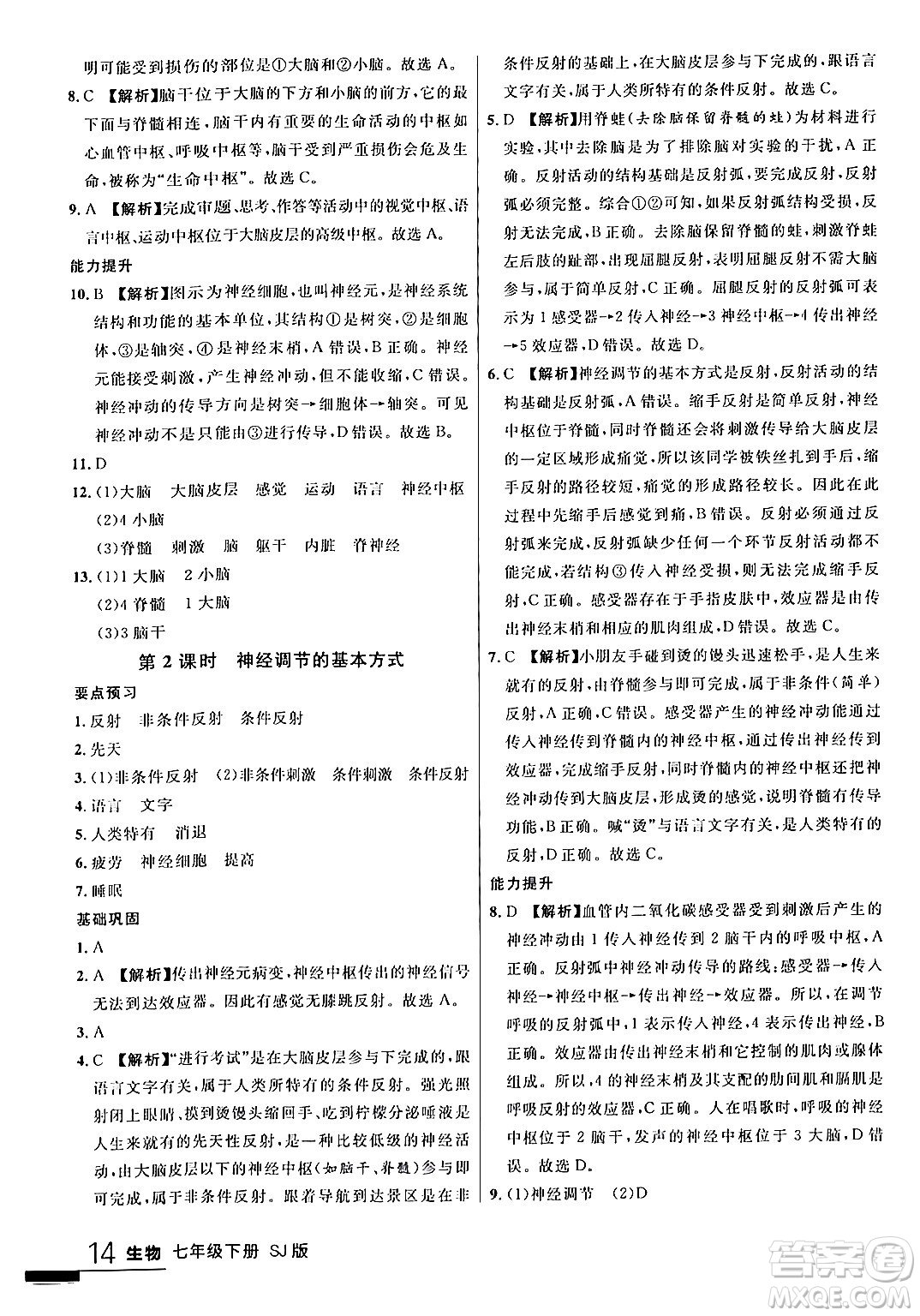 吉林教育出版社2024年春品至教育一線課堂七年級生物下冊蘇教版答案
