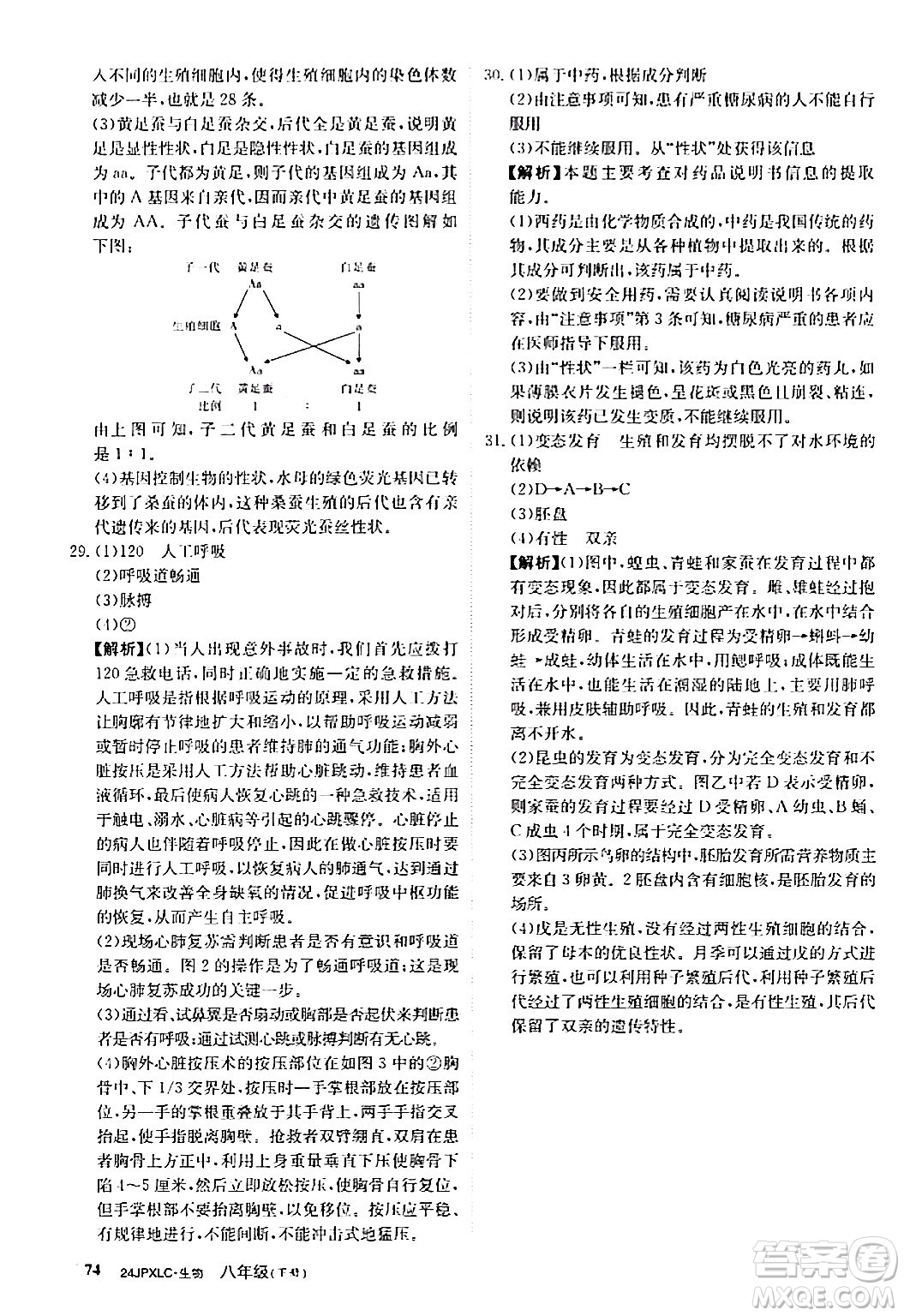 江西高校出版社2024年春金牌學(xué)練測創(chuàng)新作業(yè)設(shè)計八年級生物下冊課標(biāo)版答案