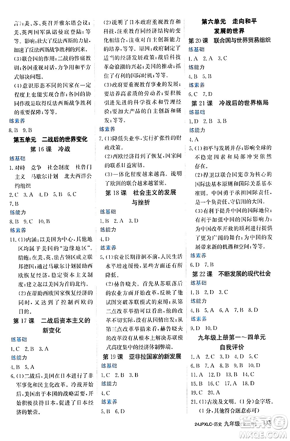 江西高校出版社2024年春金牌學(xué)練測創(chuàng)新作業(yè)設(shè)計(jì)九年級歷史下冊課標(biāo)版答案