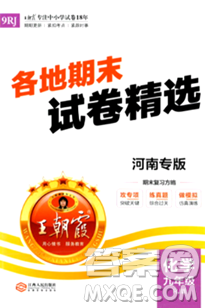 江西人民出版社2024年春王朝霞各地期末試卷精選九年級(jí)化學(xué)下冊(cè)人教版河南專版答案