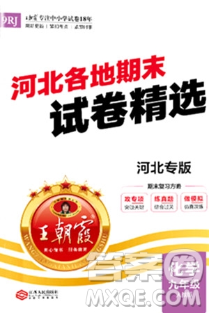 江西人民出版社2024年春王朝霞各地期末試卷精選九年級化學下冊人教版河北專版答案