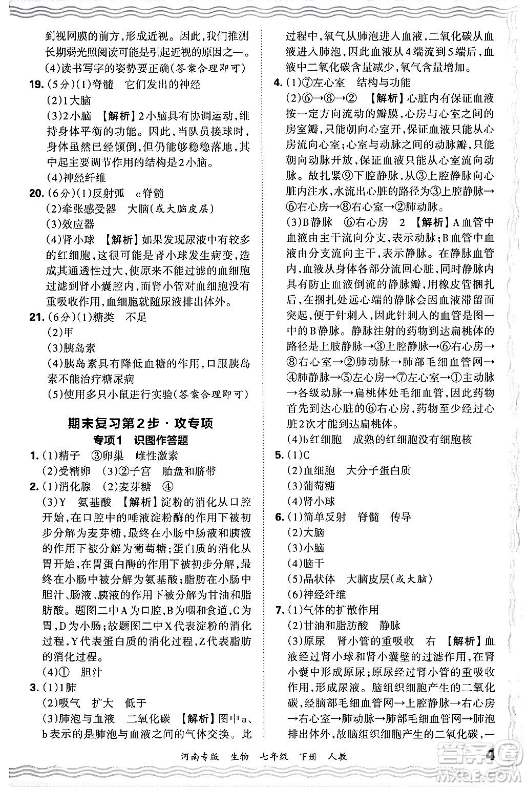 江西人民出版社2024年春王朝霞各地期末試卷精選七年級(jí)生物下冊(cè)人教版河南專版答案