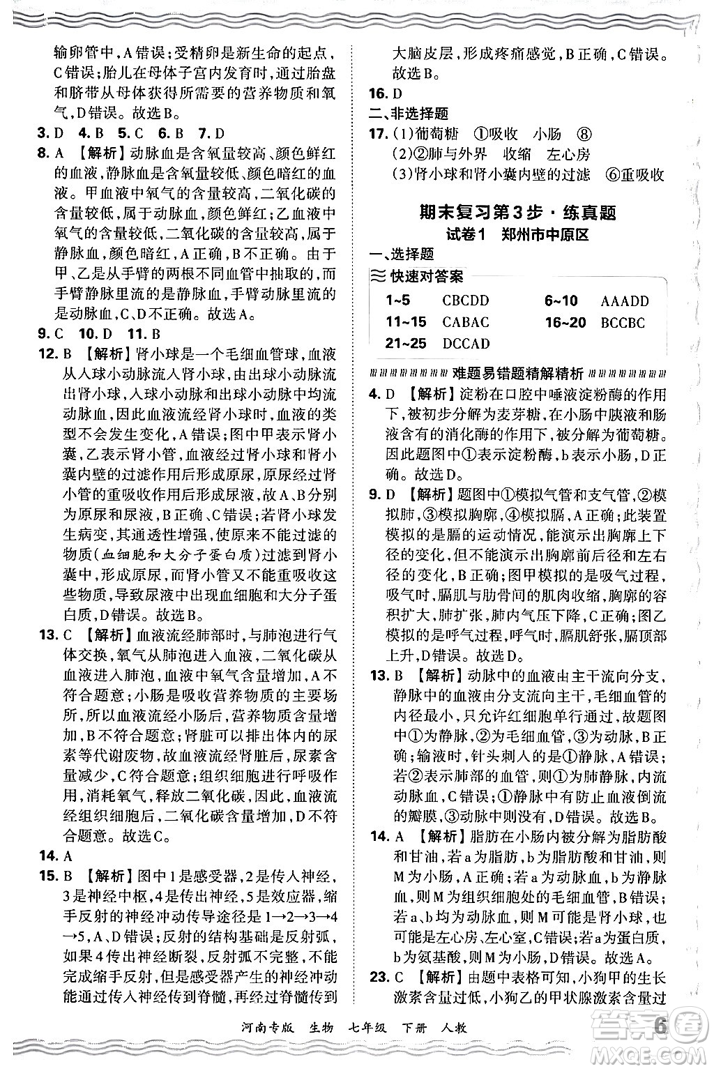 江西人民出版社2024年春王朝霞各地期末試卷精選七年級(jí)生物下冊(cè)人教版河南專版答案