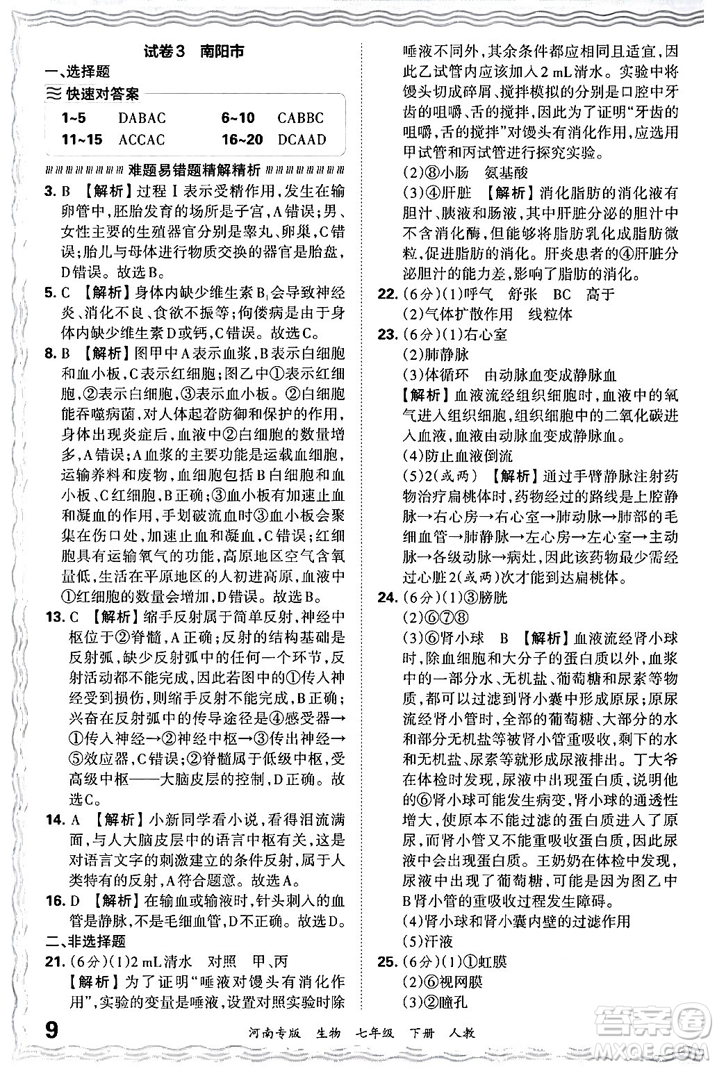 江西人民出版社2024年春王朝霞各地期末試卷精選七年級(jí)生物下冊(cè)人教版河南專版答案