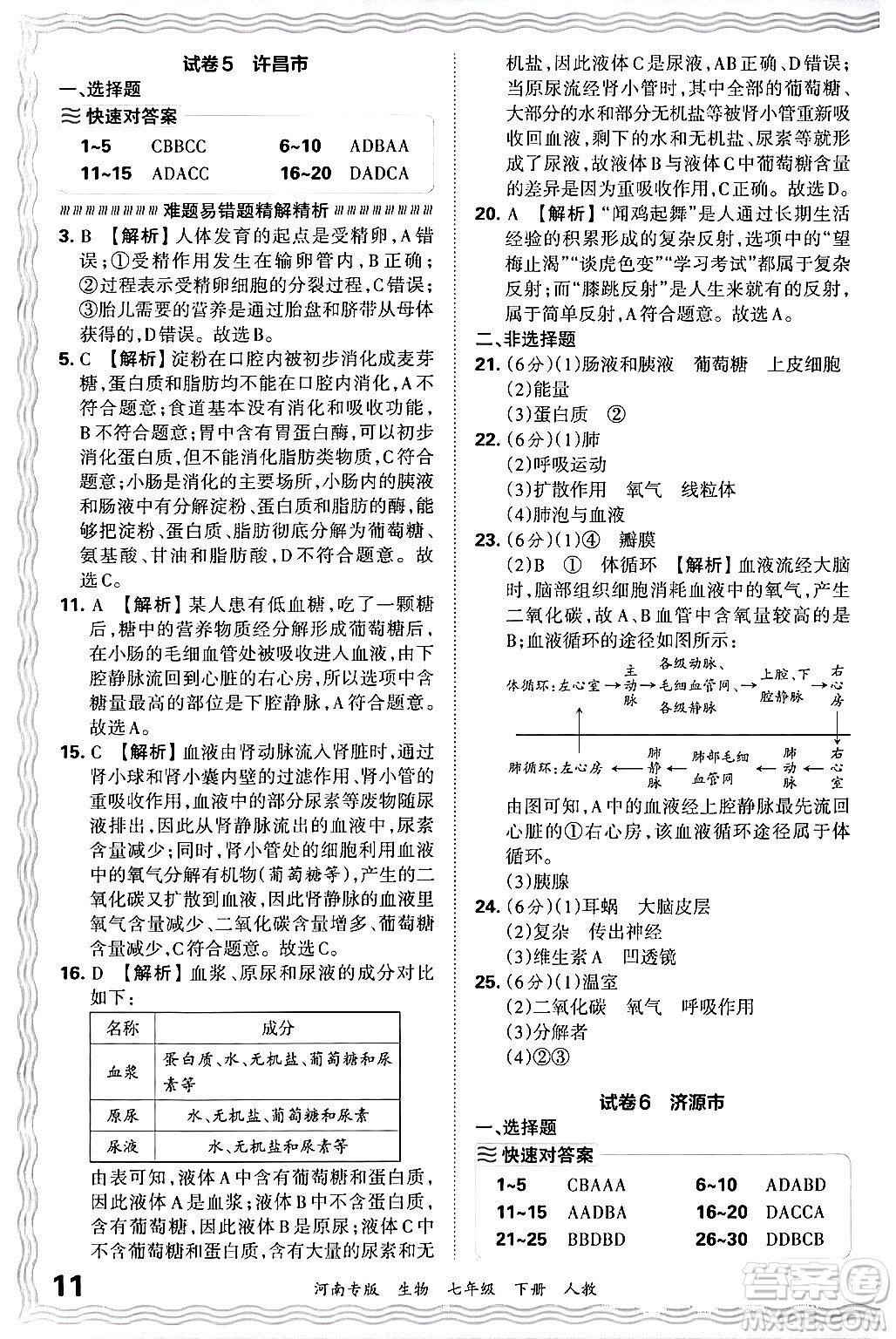 江西人民出版社2024年春王朝霞各地期末試卷精選七年級(jí)生物下冊(cè)人教版河南專版答案