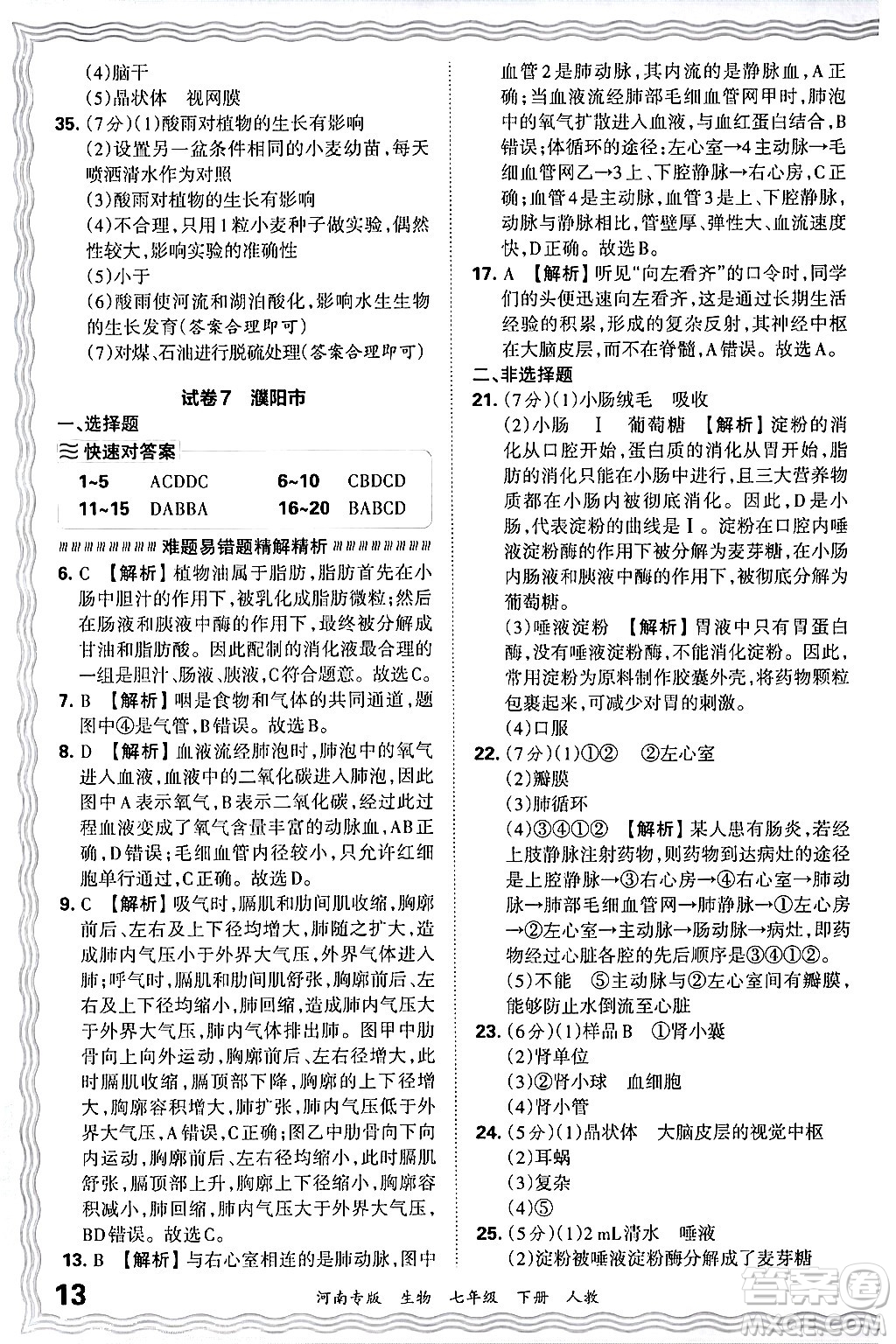 江西人民出版社2024年春王朝霞各地期末試卷精選七年級(jí)生物下冊(cè)人教版河南專版答案