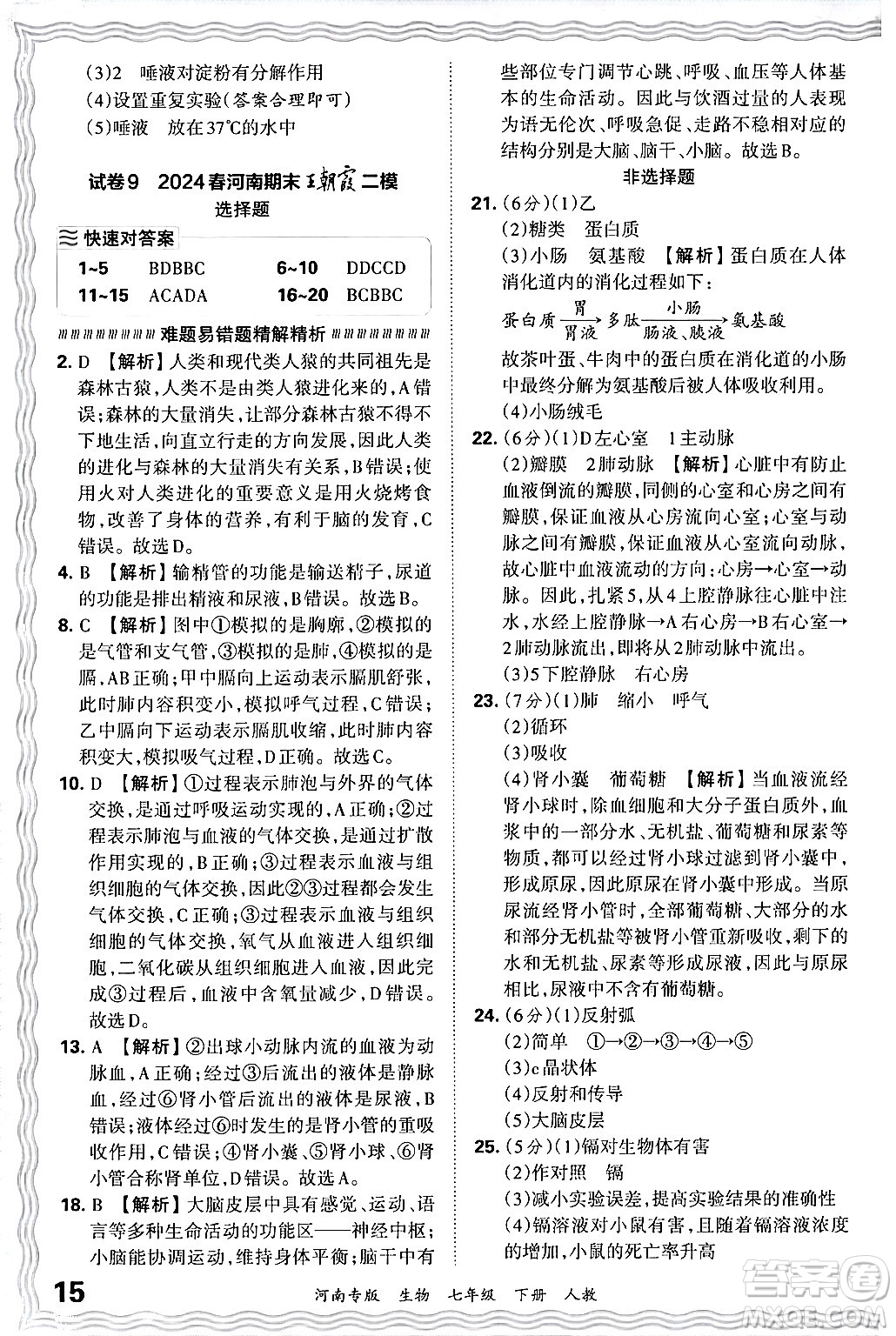 江西人民出版社2024年春王朝霞各地期末試卷精選七年級(jí)生物下冊(cè)人教版河南專版答案