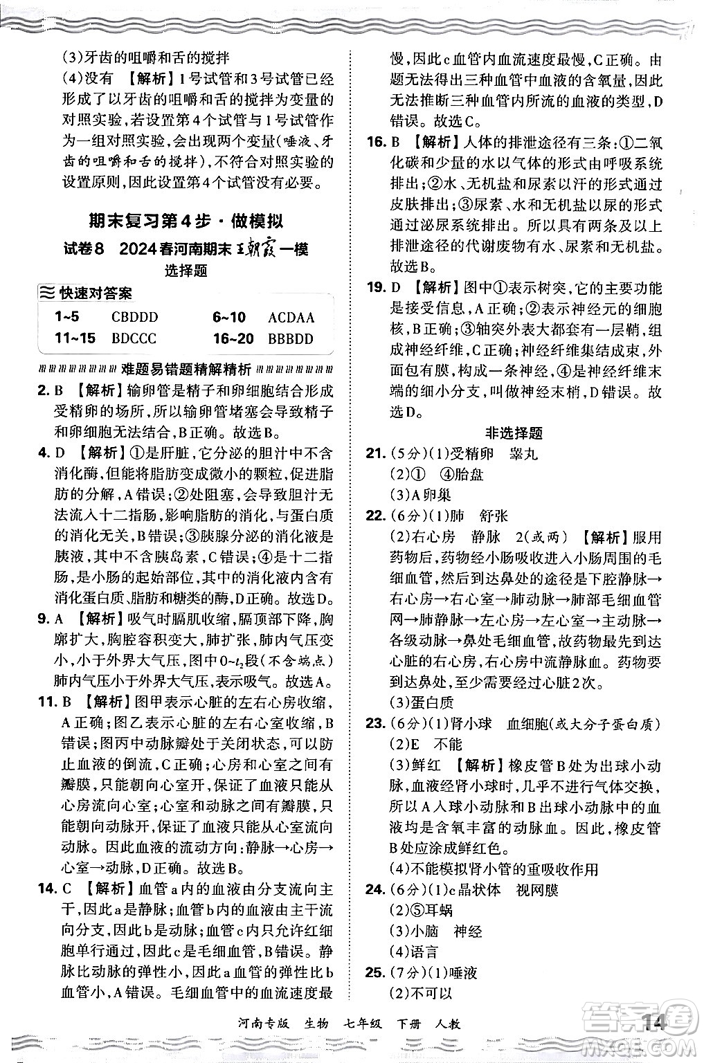 江西人民出版社2024年春王朝霞各地期末試卷精選七年級(jí)生物下冊(cè)人教版河南專版答案