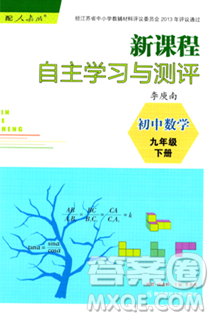 南京師范大學(xué)出版社2024年春新課程自主學(xué)習(xí)與測(cè)評(píng)九年級(jí)數(shù)學(xué)下冊(cè)人教版答案