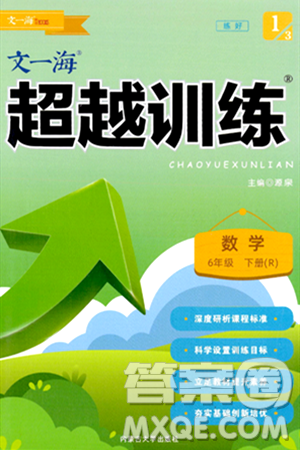 內(nèi)蒙古大學(xué)出版社2024年春超越訓(xùn)練六年級(jí)數(shù)學(xué)下冊(cè)人教版答案