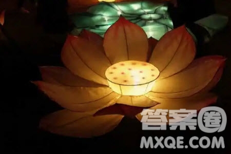 生命之燈材料作文600字 關(guān)于生命之燈的材料作文600字