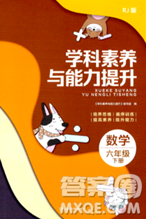 湖南教育出版社2024年春學(xué)科素養(yǎng)與能力提升六年級(jí)數(shù)學(xué)下冊(cè)人教版答案