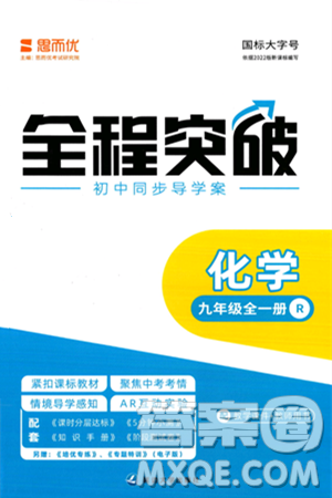 延邊大學(xué)出版社2024年春全程突破初中同步導(dǎo)學(xué)案九年級化學(xué)下冊人教版答案