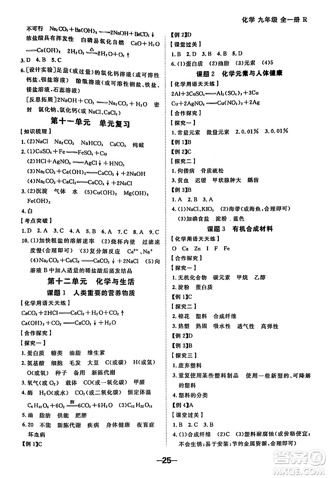 延邊大學(xué)出版社2024年春全程突破初中同步導(dǎo)學(xué)案九年級化學(xué)下冊人教版答案