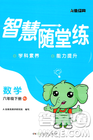 湖南少年兒童出版社2024年春智慧隨堂練六年級數(shù)學(xué)下冊人教版答案