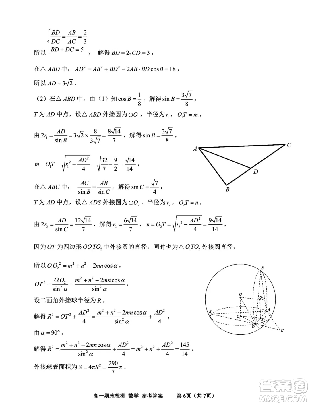 浙江嘉興2024年高一下學(xué)期6月期末檢測(cè)數(shù)學(xué)試題答案