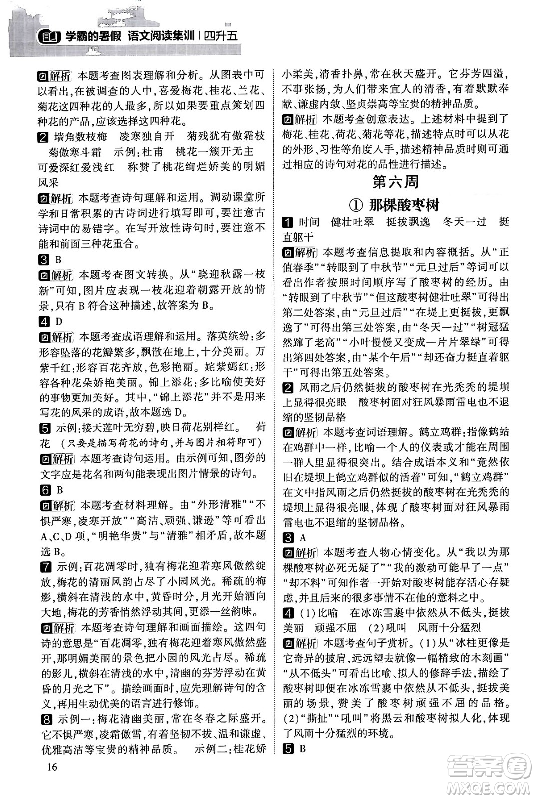 寧夏人民教育出版社2024年春經(jīng)綸學(xué)霸學(xué)霸的暑假語(yǔ)文閱讀集訓(xùn)四升五年級(jí)語(yǔ)文人教版答案
