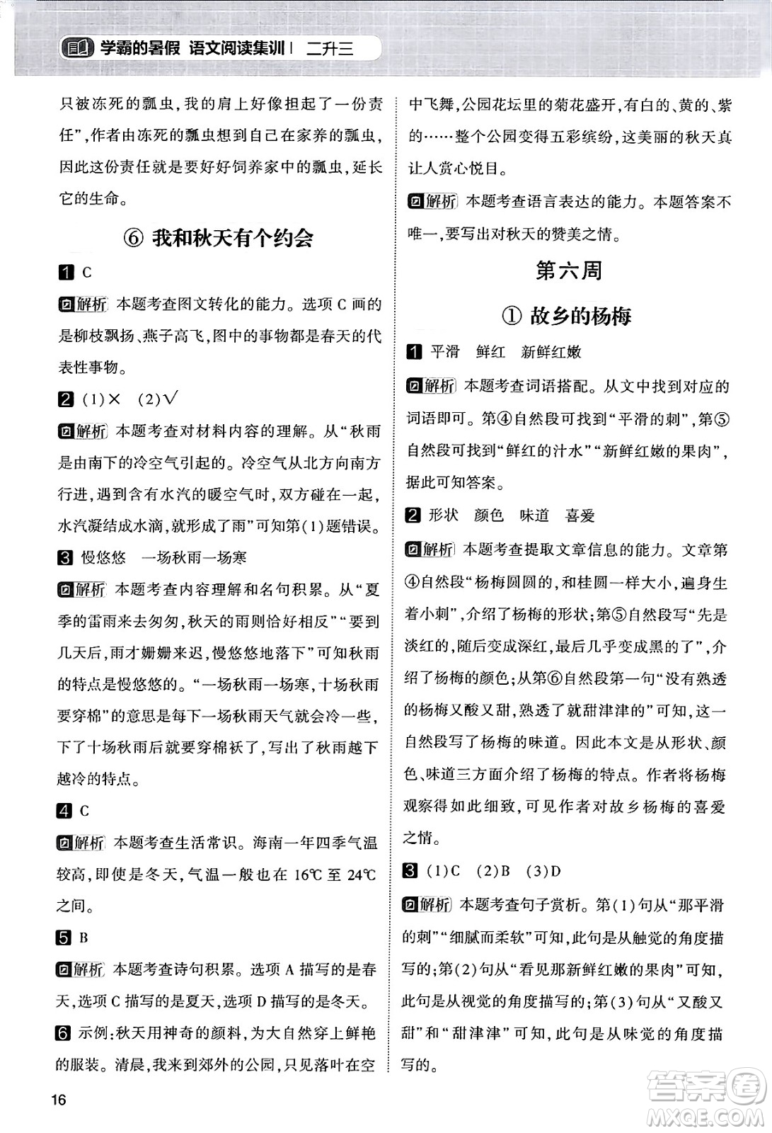 寧夏人民教育出版社2024年春經(jīng)綸學霸學霸的暑假語文閱讀集訓二升三年級語文人教版答案