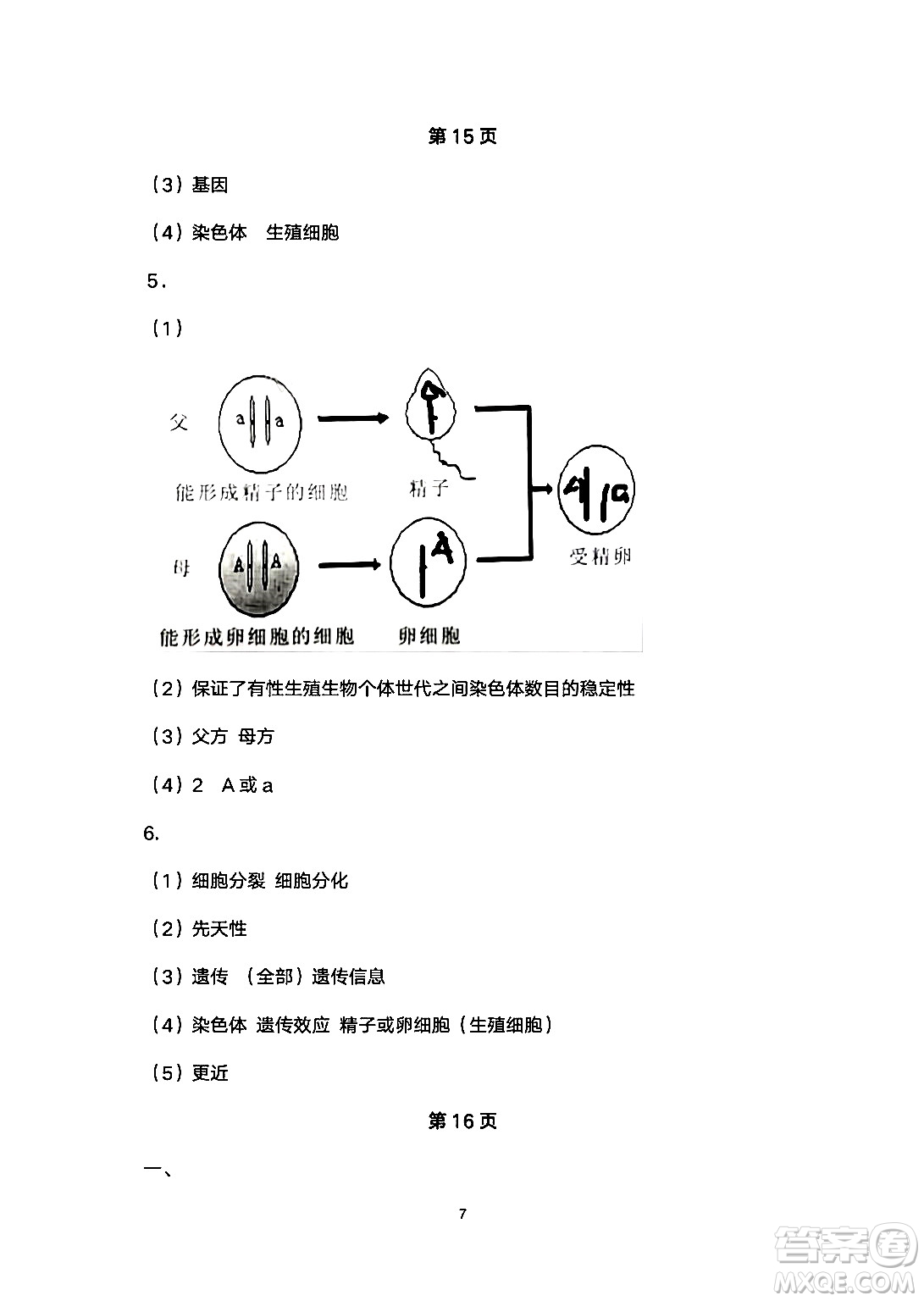 安徽教育出版社2024年暑假生活八年級(jí)生物人教版答案