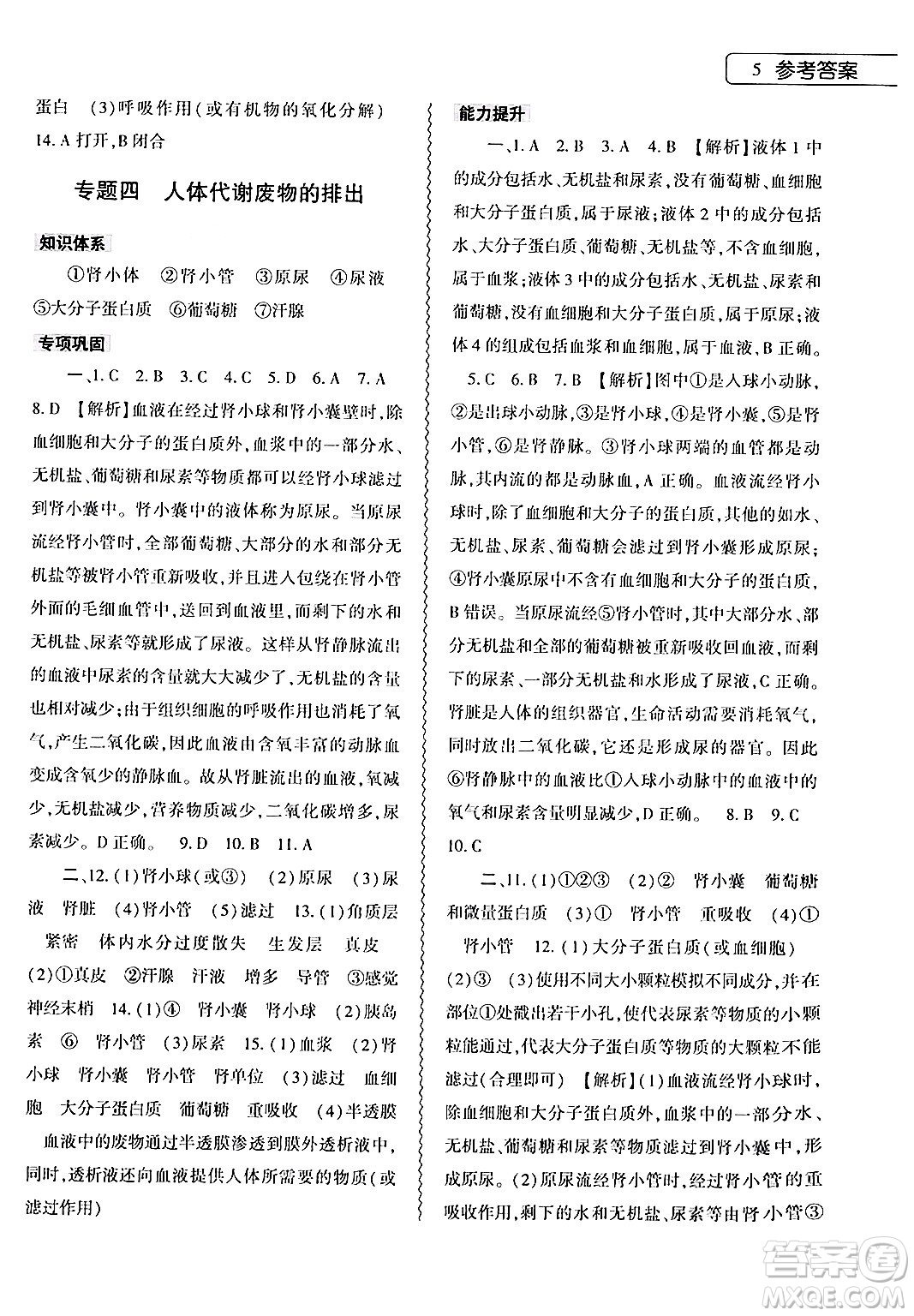 大象出版社2024年生物學(xué)暑假作業(yè)本七年級(jí)生物北師大版答案