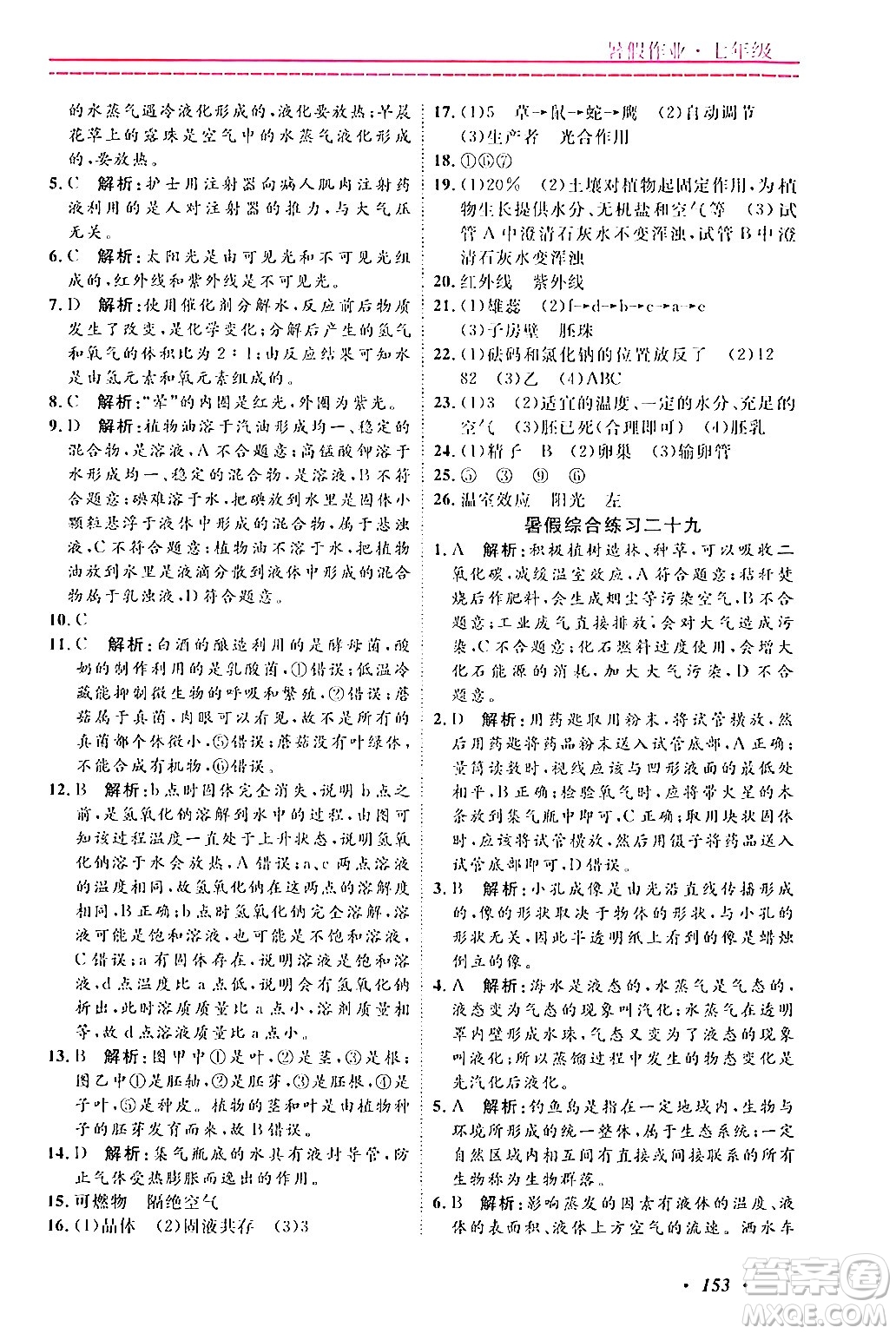 寧波出版社2024年快樂假期暑假作業(yè)七年級(jí)合訂本通用版答案