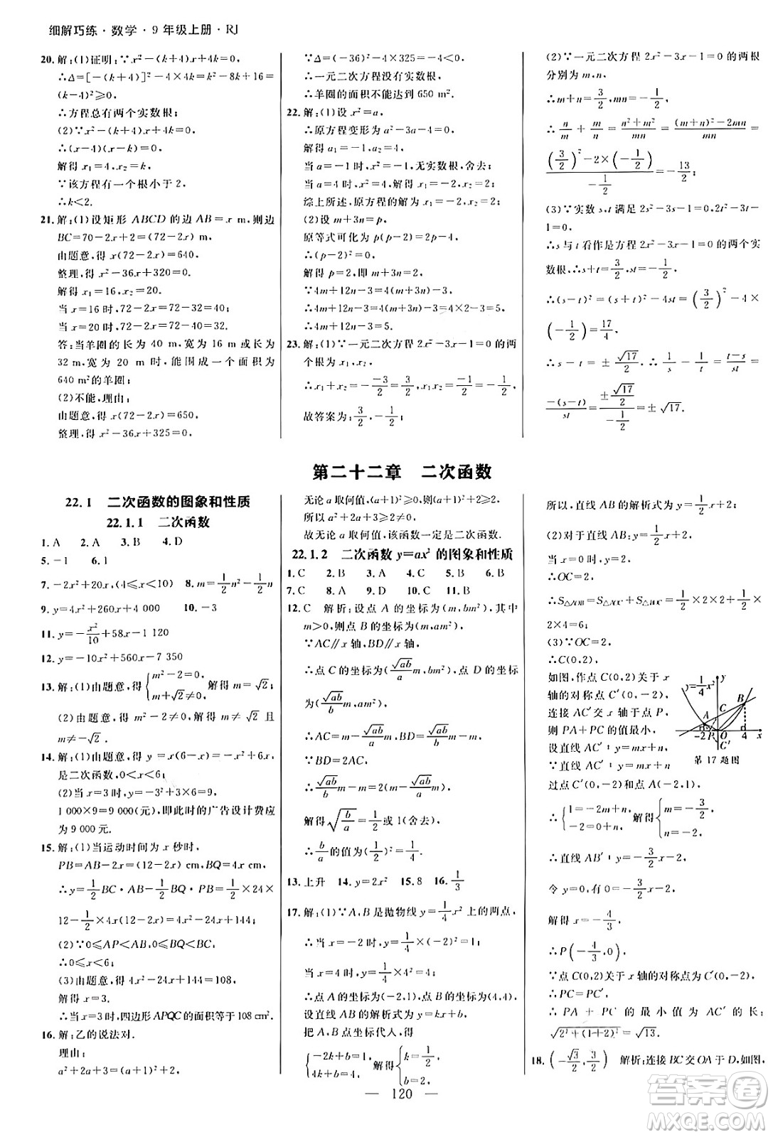 延邊大學(xué)出版社2024年秋細解巧練九年級數(shù)學(xué)上冊人教版答案