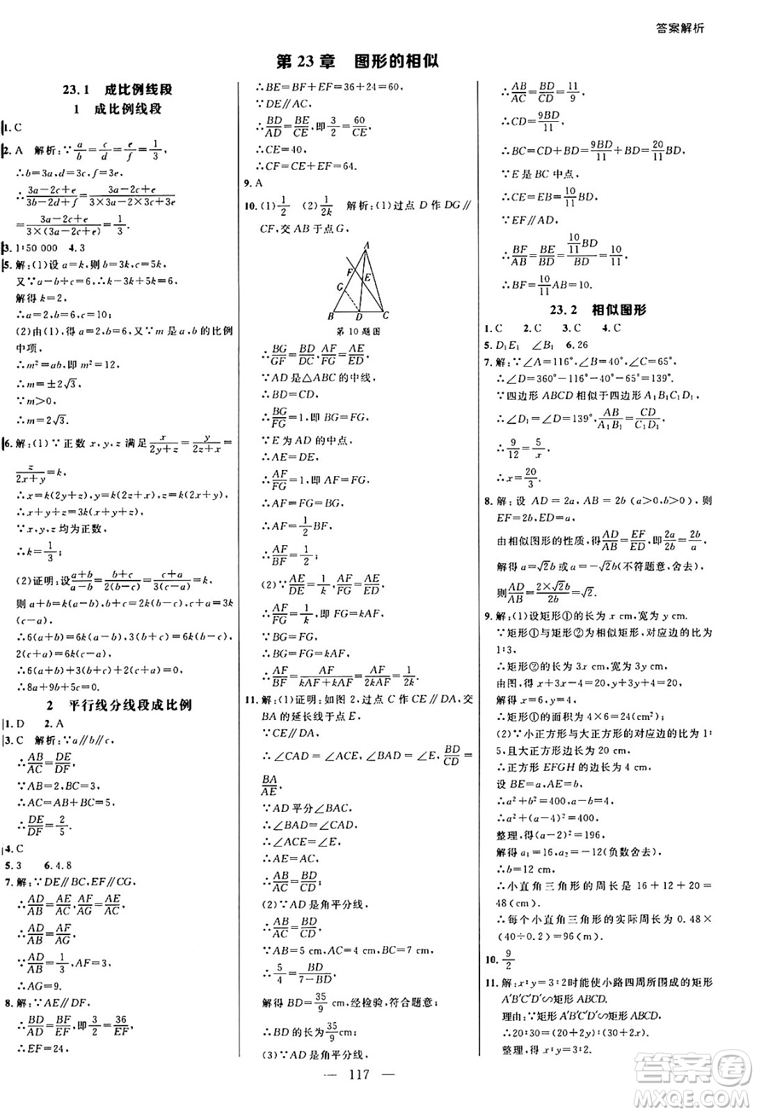 延邊大學(xué)出版社2024年秋細(xì)解巧練九年級(jí)數(shù)學(xué)上冊(cè)華師版答案