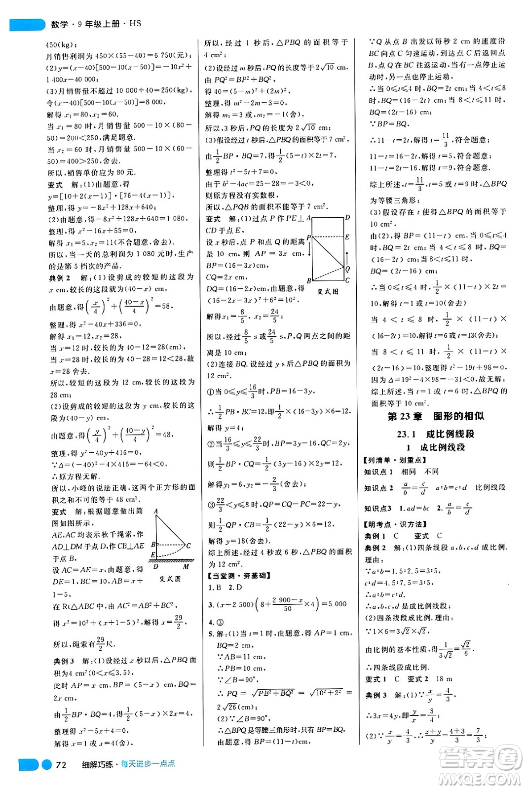 延邊大學(xué)出版社2024年秋細(xì)解巧練九年級(jí)數(shù)學(xué)上冊(cè)華師版答案