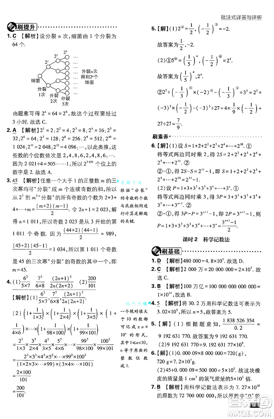 開明出版社2025屆初中必刷題拔尖提優(yōu)訓練七年級數(shù)學上冊滬科版答案