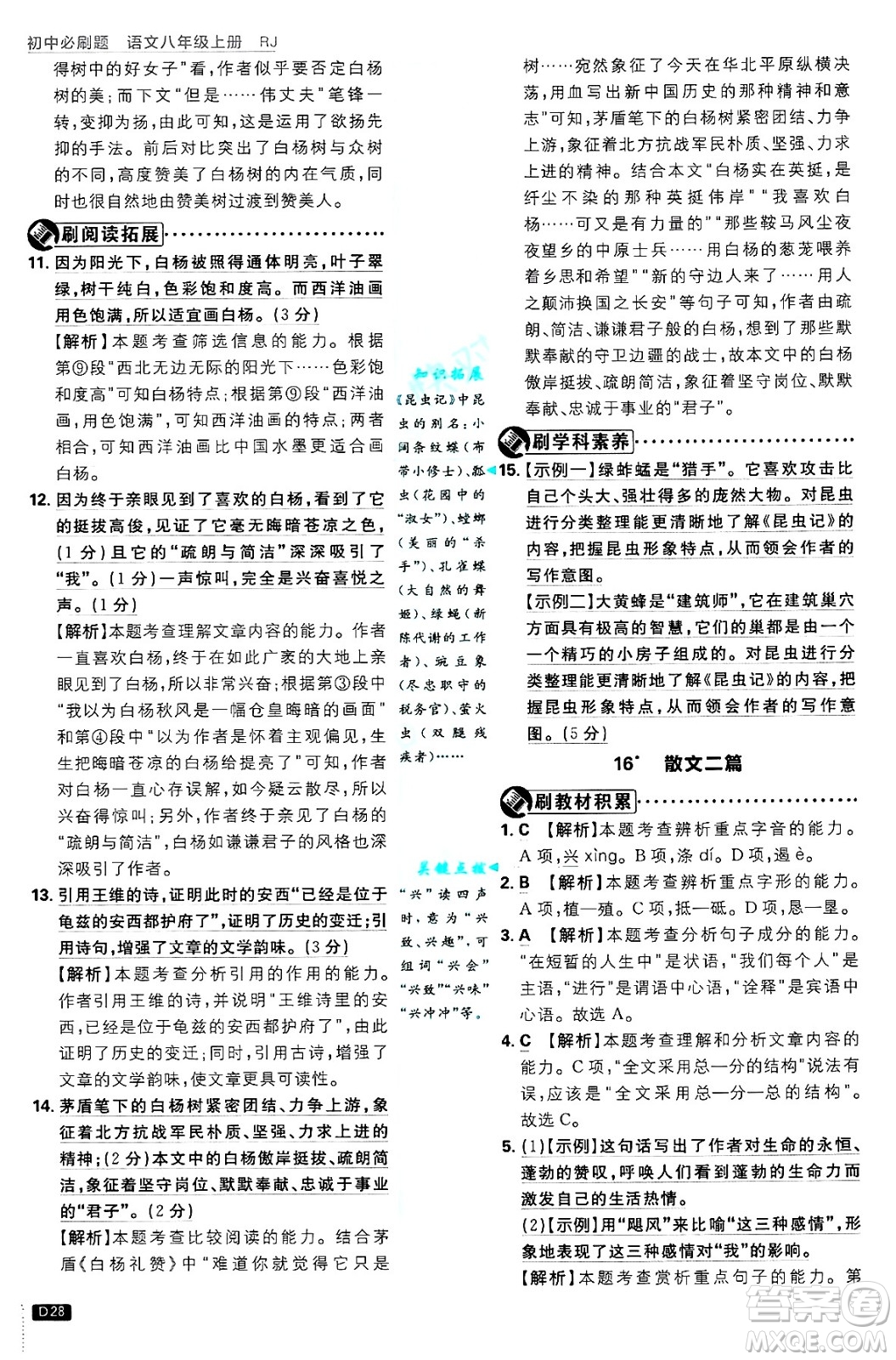 開明出版社2025屆初中必刷題拔尖提優(yōu)訓練八年級語文上冊人教版答案