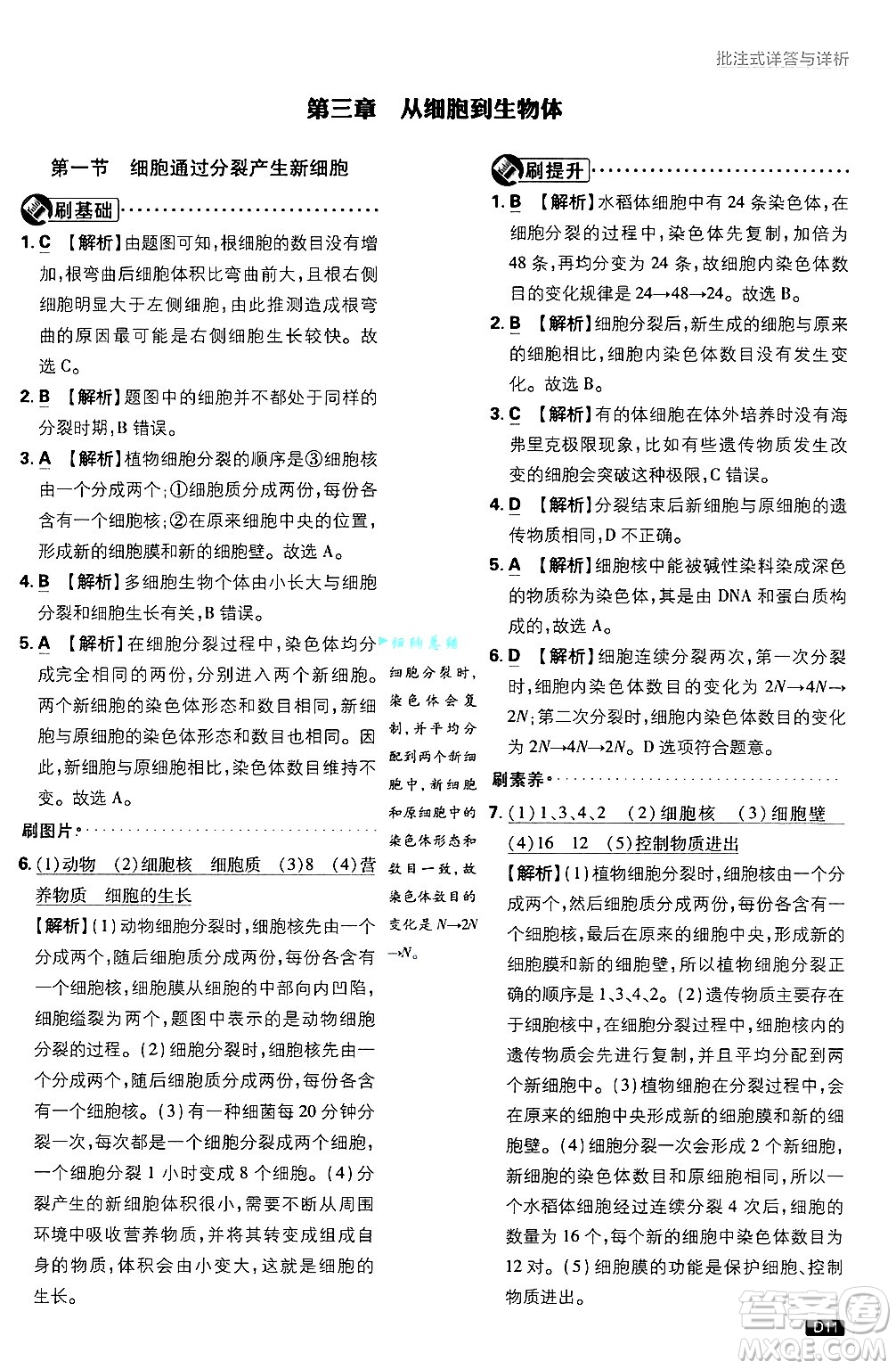 開明出版社2025屆初中必刷題拔尖提優(yōu)訓(xùn)練七年級(jí)生物上冊(cè)人教版答案