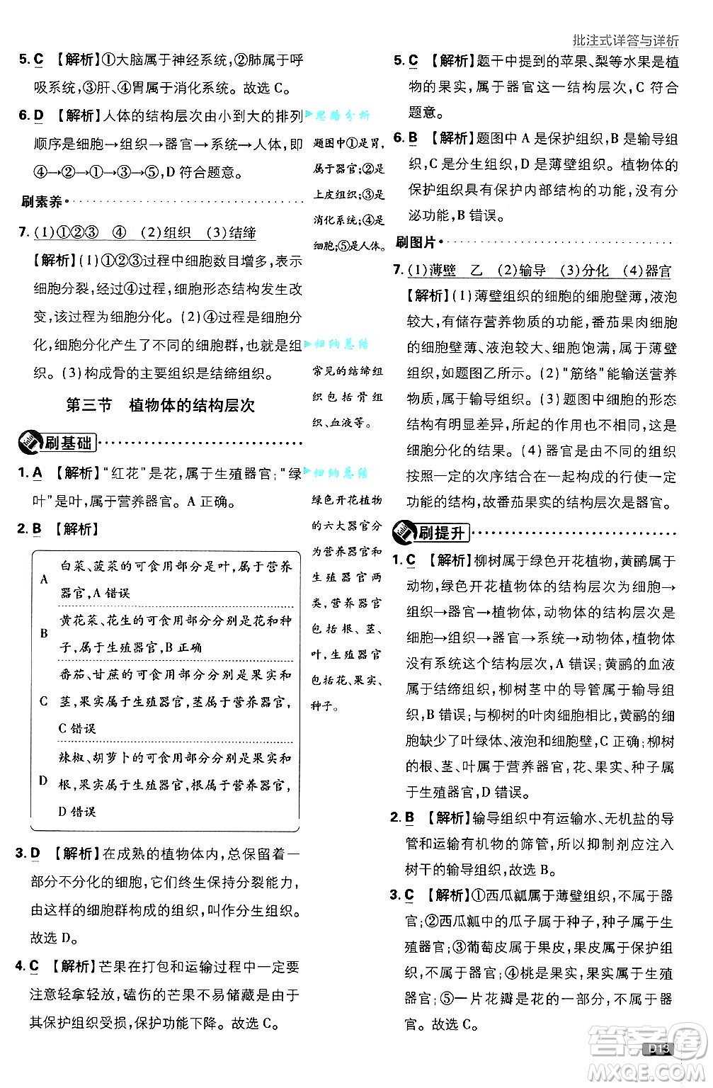開明出版社2025屆初中必刷題拔尖提優(yōu)訓(xùn)練七年級(jí)生物上冊(cè)人教版答案