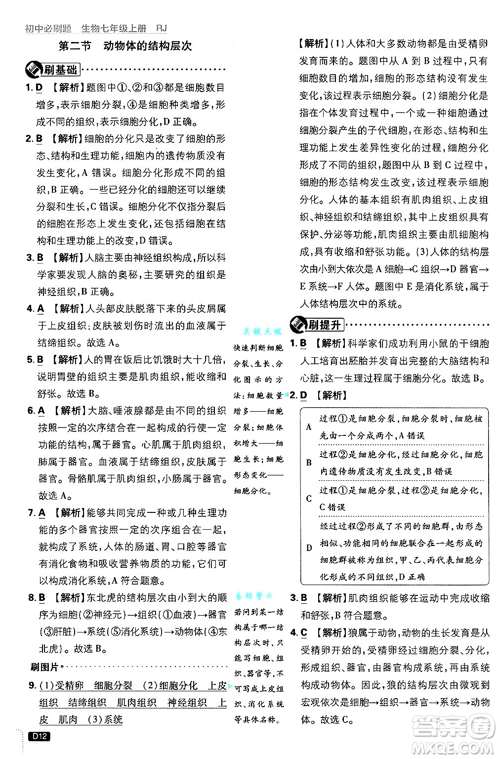開明出版社2025屆初中必刷題拔尖提優(yōu)訓(xùn)練七年級(jí)生物上冊(cè)人教版答案