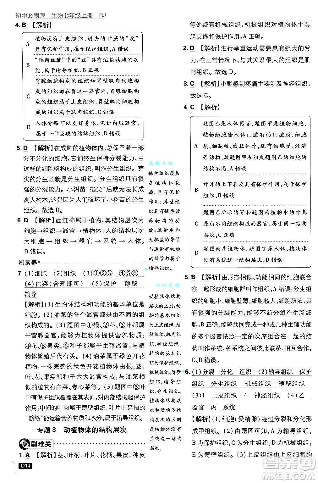 開明出版社2025屆初中必刷題拔尖提優(yōu)訓(xùn)練七年級(jí)生物上冊(cè)人教版答案