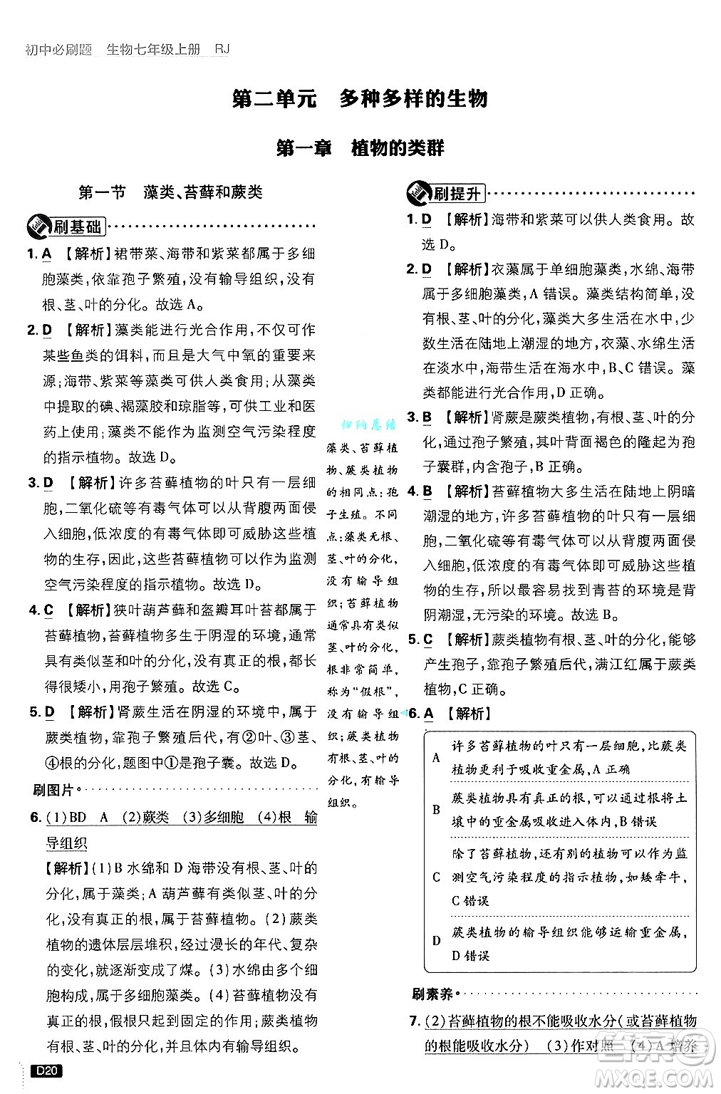 開明出版社2025屆初中必刷題拔尖提優(yōu)訓(xùn)練七年級(jí)生物上冊(cè)人教版答案