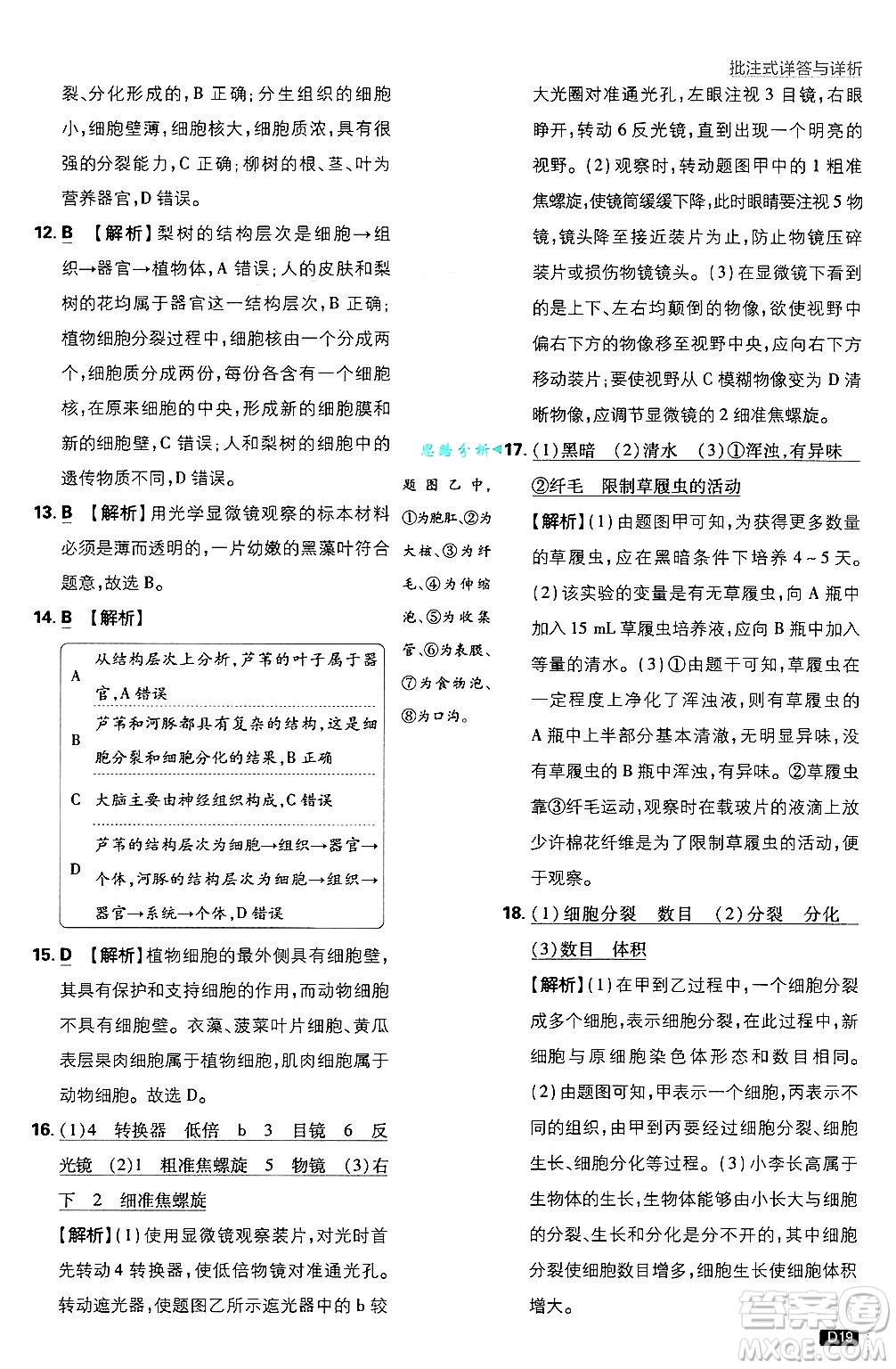 開明出版社2025屆初中必刷題拔尖提優(yōu)訓(xùn)練七年級(jí)生物上冊(cè)人教版答案