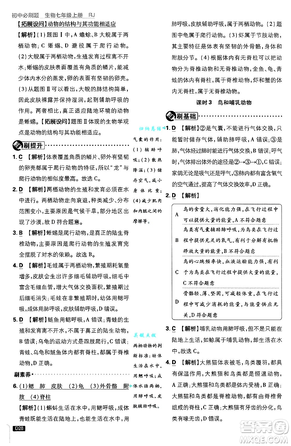 開明出版社2025屆初中必刷題拔尖提優(yōu)訓(xùn)練七年級(jí)生物上冊(cè)人教版答案