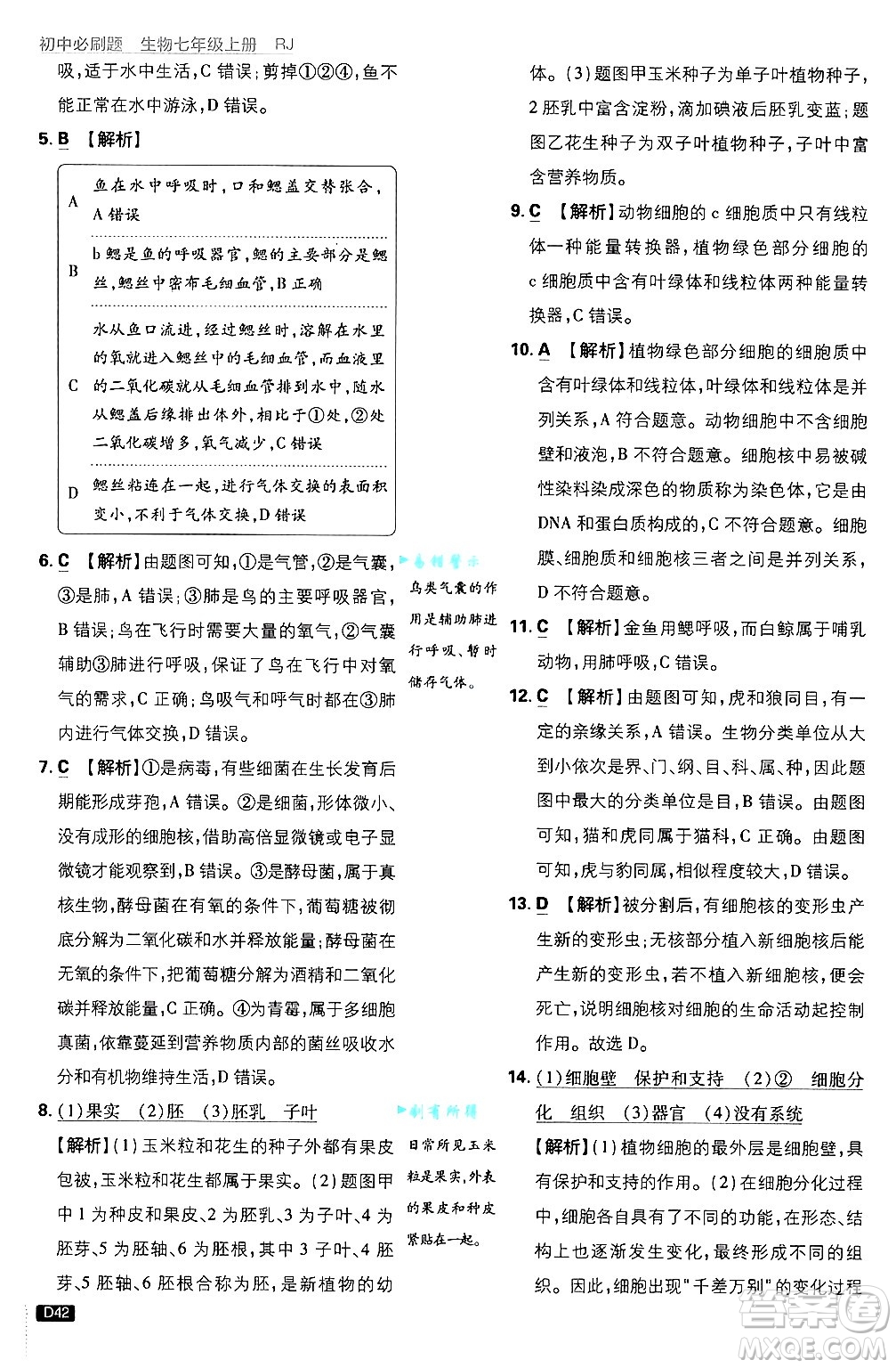開明出版社2025屆初中必刷題拔尖提優(yōu)訓(xùn)練七年級(jí)生物上冊(cè)人教版答案