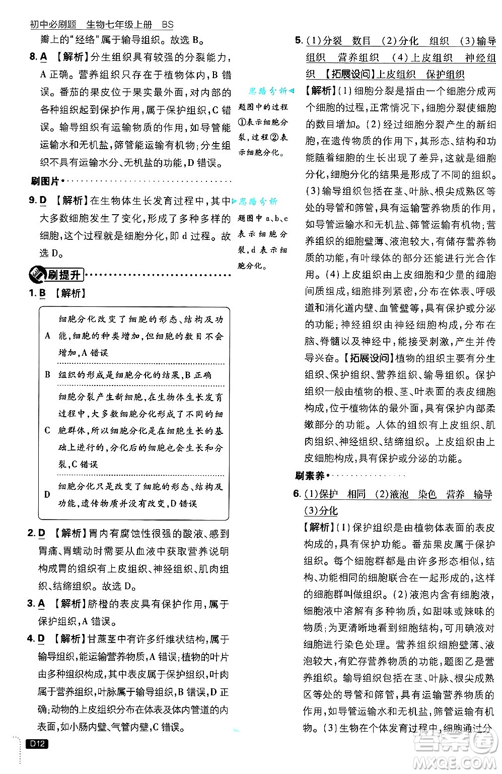 開明出版社2025屆初中必刷題拔尖提優(yōu)訓(xùn)練七年級生物上冊北師大版答案