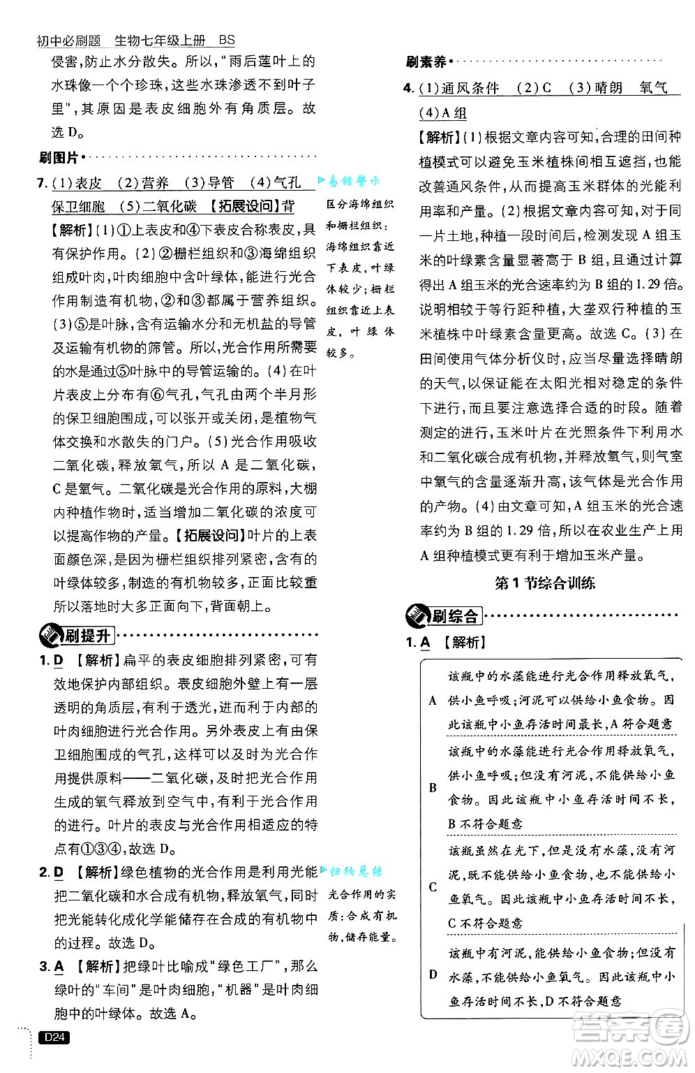 開明出版社2025屆初中必刷題拔尖提優(yōu)訓(xùn)練七年級生物上冊北師大版答案