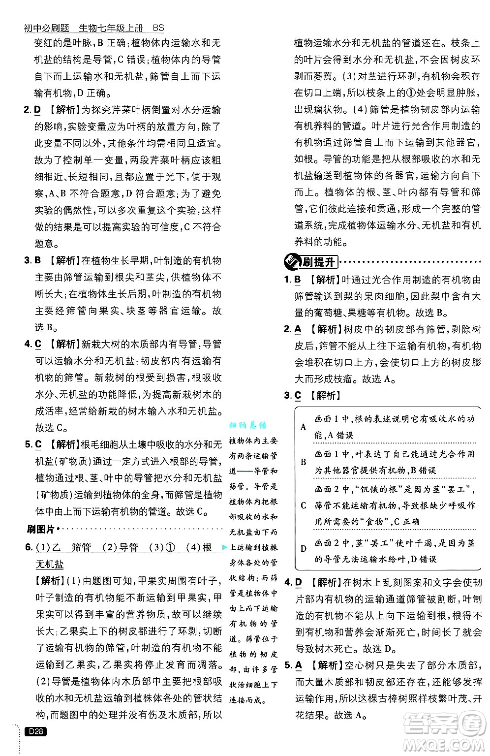 開明出版社2025屆初中必刷題拔尖提優(yōu)訓(xùn)練七年級生物上冊北師大版答案
