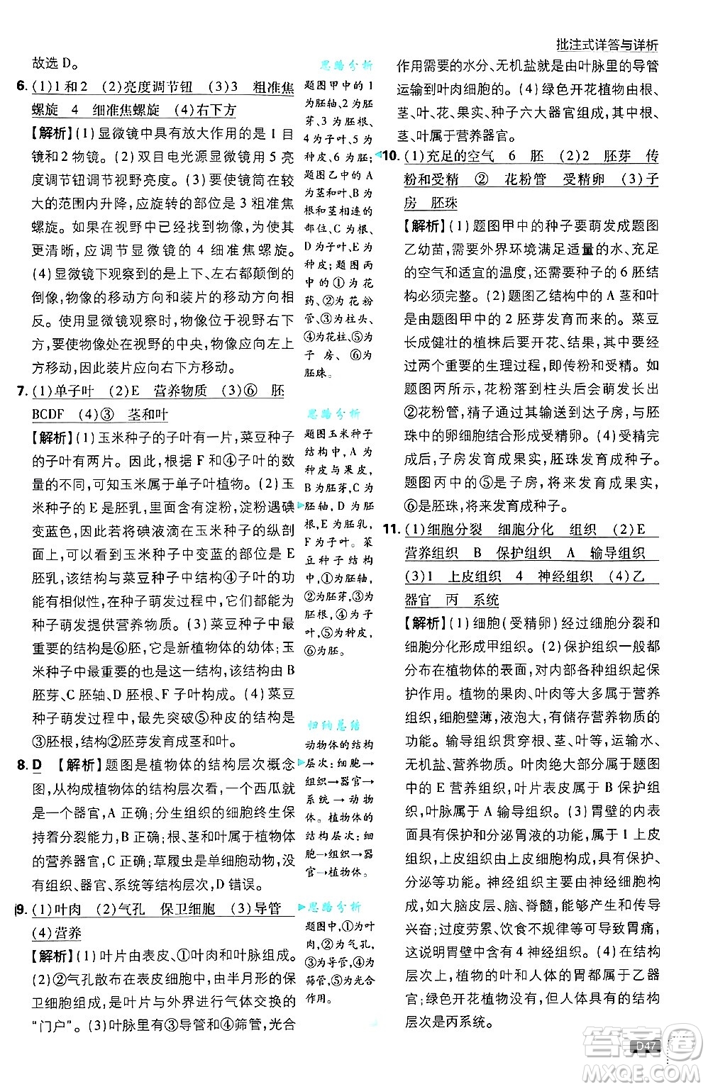 開明出版社2025屆初中必刷題拔尖提優(yōu)訓(xùn)練七年級生物上冊北師大版答案