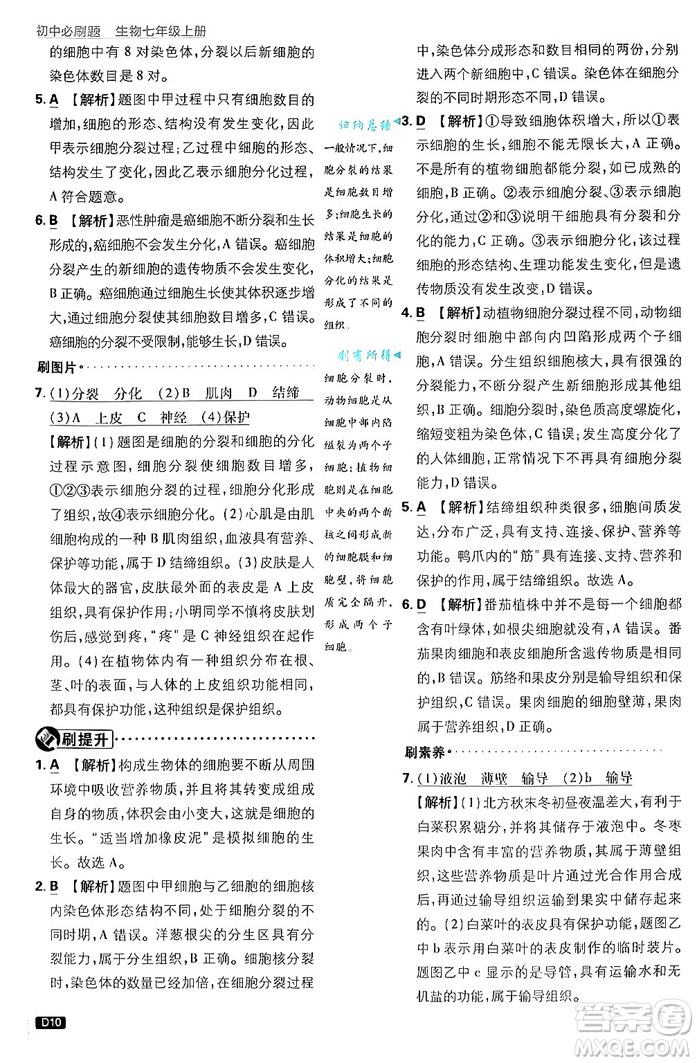 開(kāi)明出版社2025屆初中必刷題拔尖提優(yōu)訓(xùn)練七年級(jí)生物上冊(cè)濟(jì)南版答案